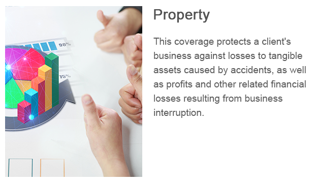 8-Property.png