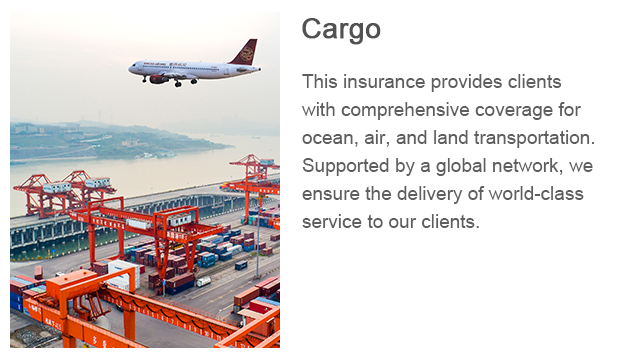 9-Cargo.png